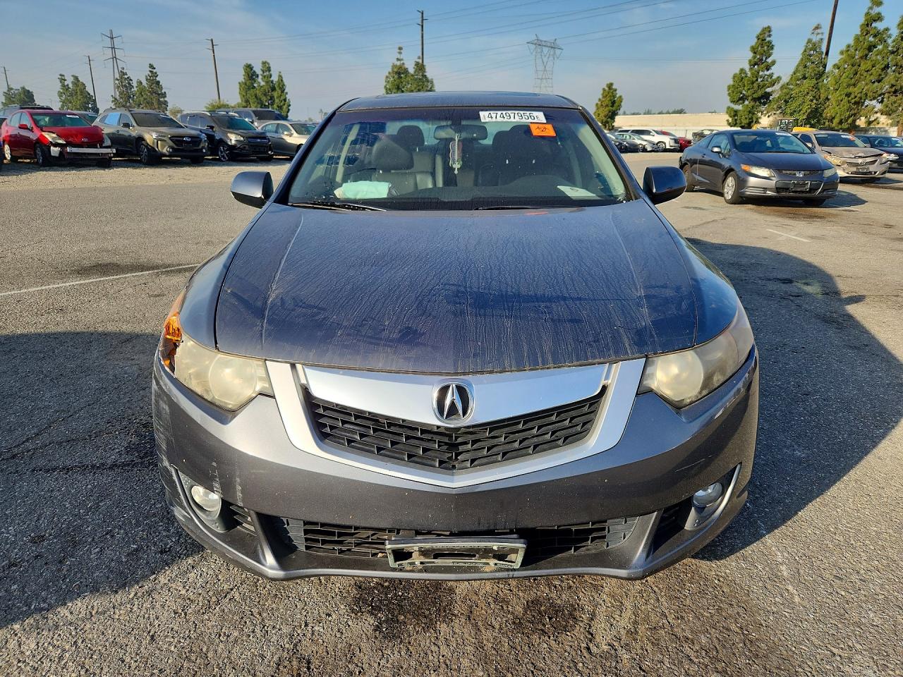 2010 Acura Tsx VIN JH4CU4F60AC003371 photo 5