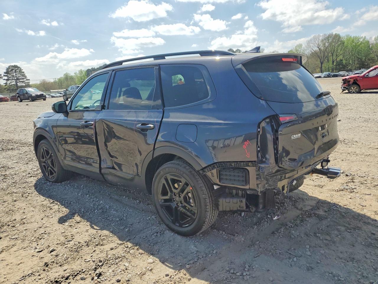 2025 Kia Telluride VIN 5XYP3DGC2SG725206 photo 2