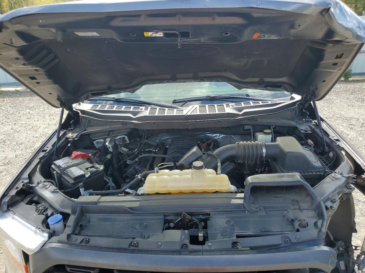 2021 Ford F150 VIN 1FTFW1E57MFC17924 photo 11
