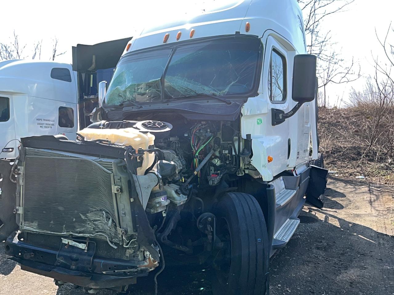 2015 FREIGHTLINER Cascadia VIN 3AKJGLD56FSFX3953 photo 2
