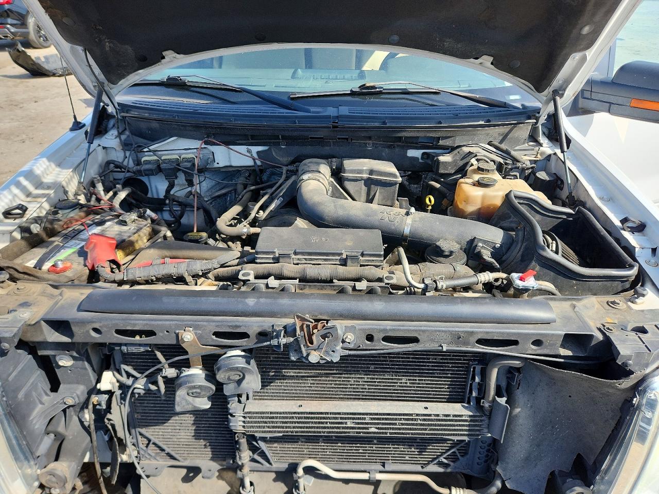 2010 Ford F150 VIN 1FTFW1EV6AFB08060 photo 11