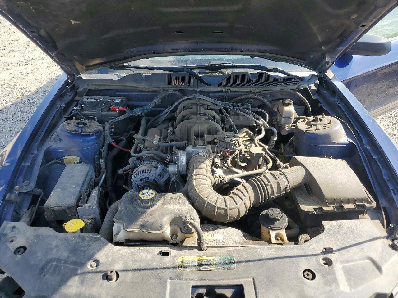 2010 Ford Mustang VIN 1ZVBP8AN3A5114914 photo 11