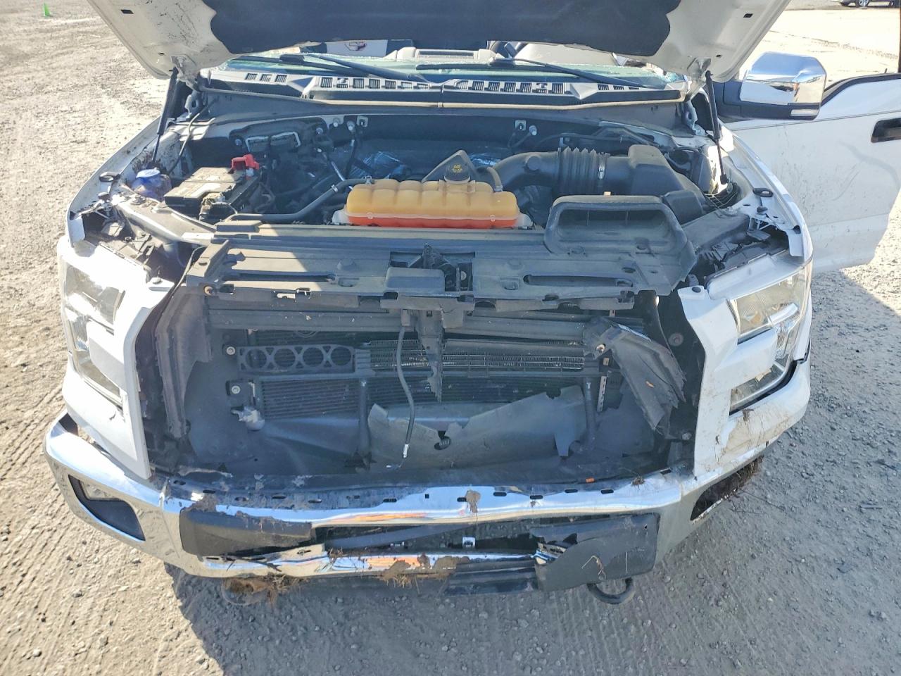 2016 Ford F150 VIN 1FTMF1EF1GKD69743 photo 11