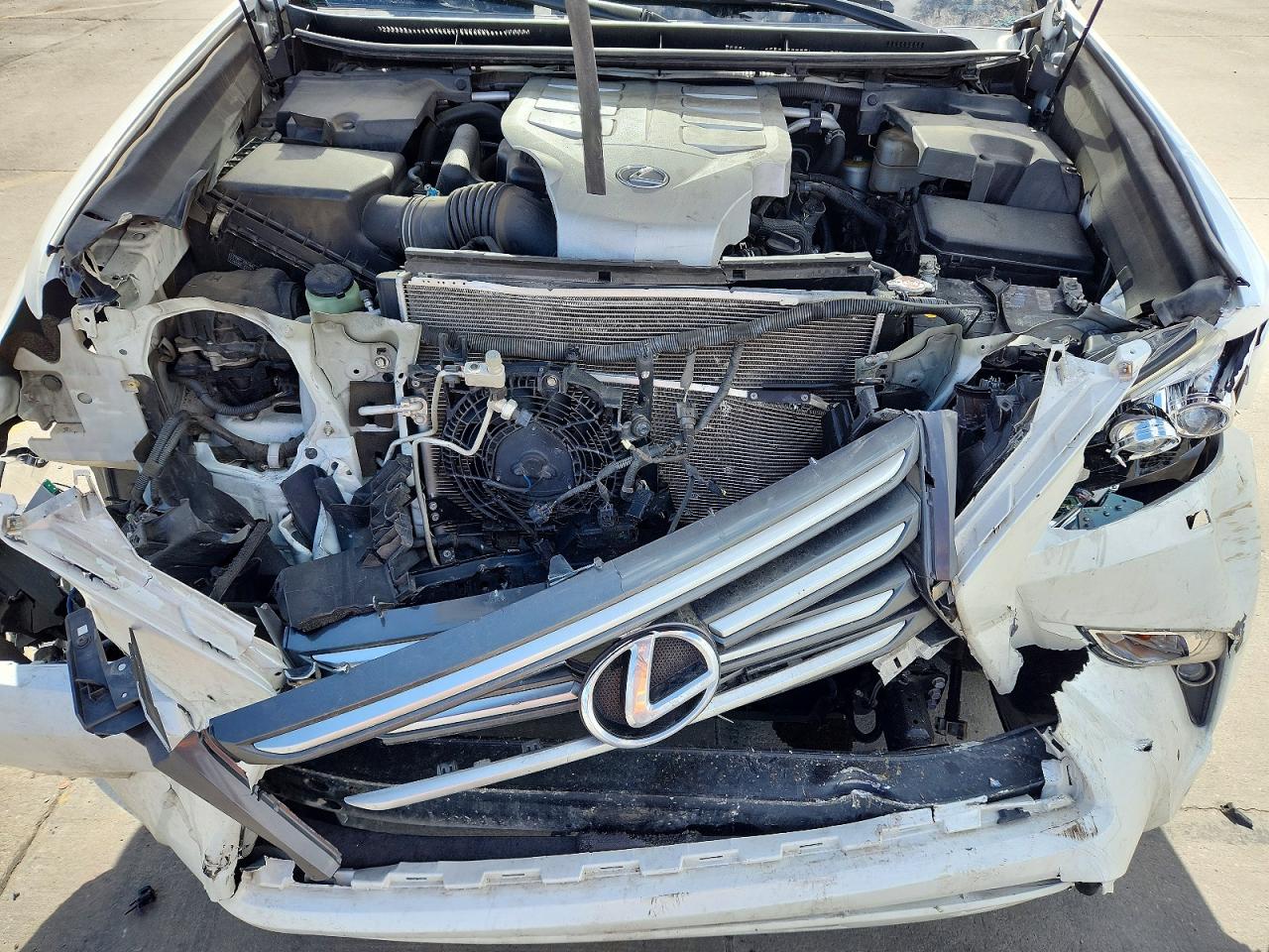 2014 LEXUS Gx VIN JTJJM7FX6E5081647 photo 12
