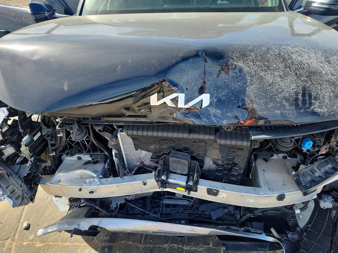 2024 Kia All other VIN KNDAB5S14R6042019 photo 12