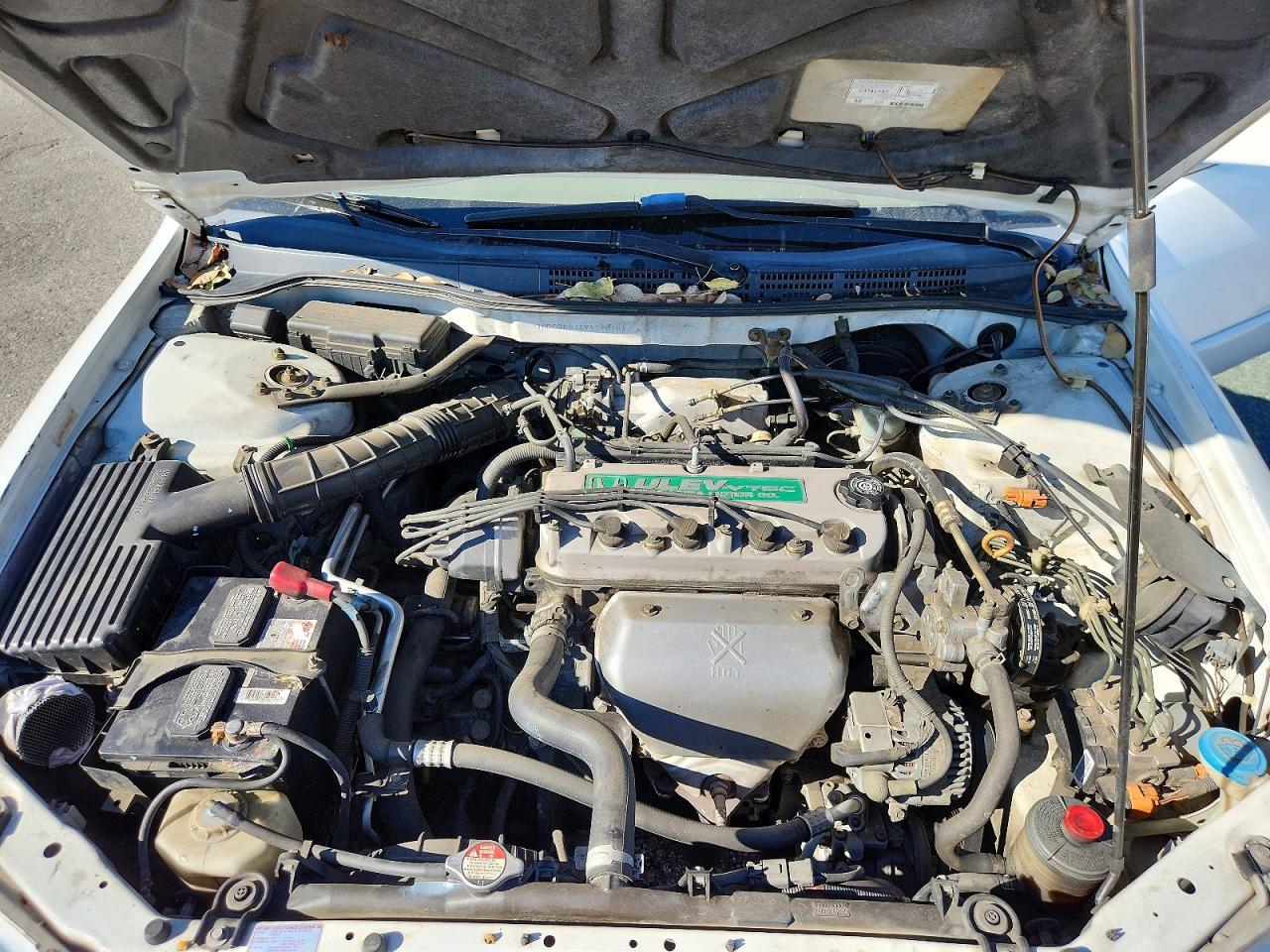 1998 HOND Accord VIN 1HGCG6675WA196151 photo 11