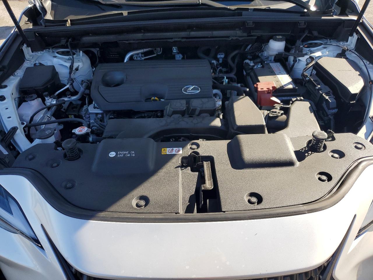 2025 LEXUS Nx 250 VIN JTJADCAZ4S5024313 photo 12