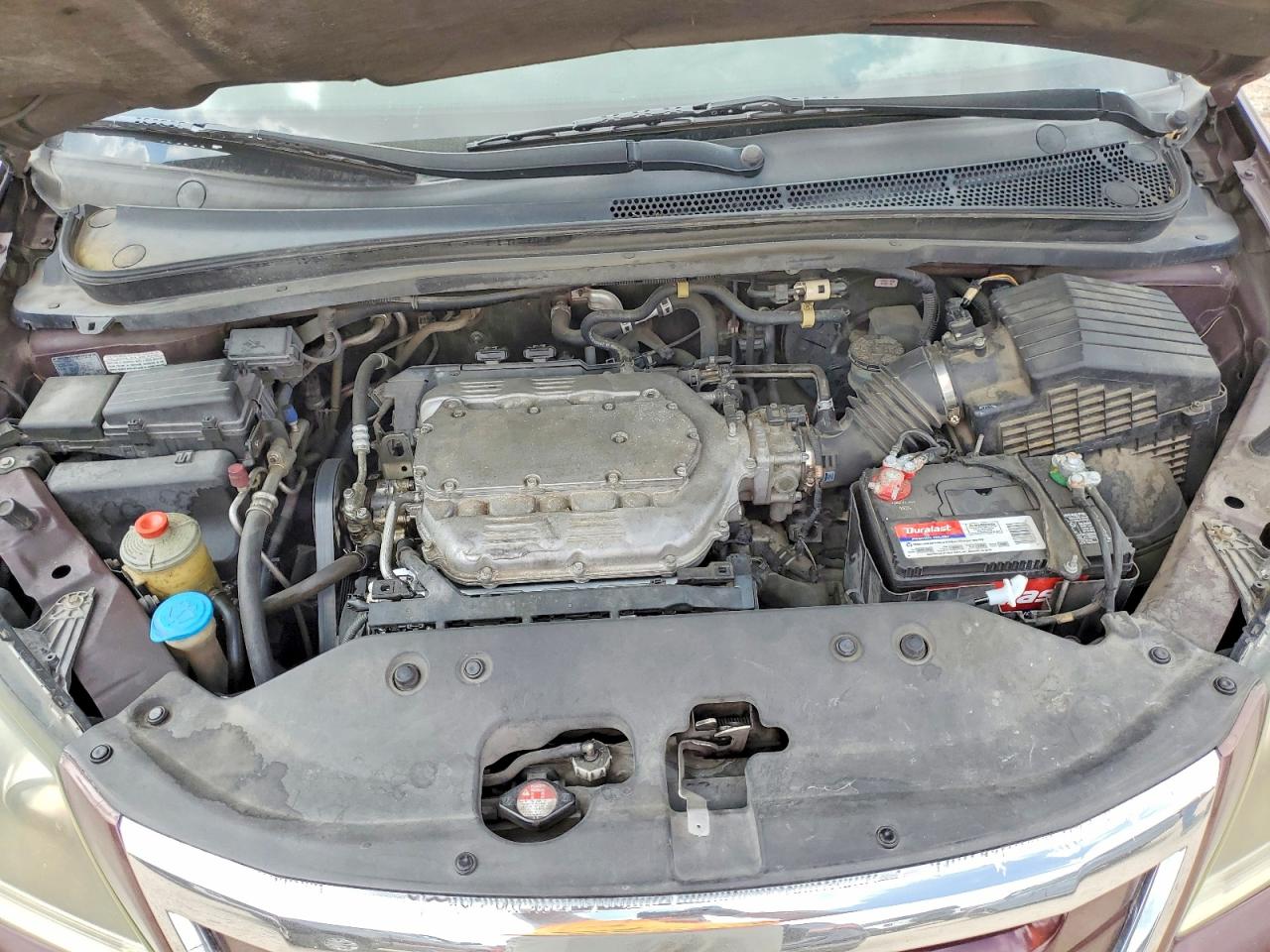 2010 HONDA All models VIN 5FNRL3H77AB100889 photo 12