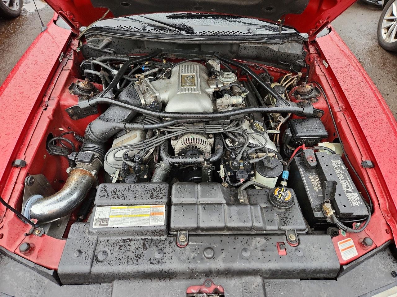1996 Ford Mustang VIN 1FALP47V7TF137204 photo 11