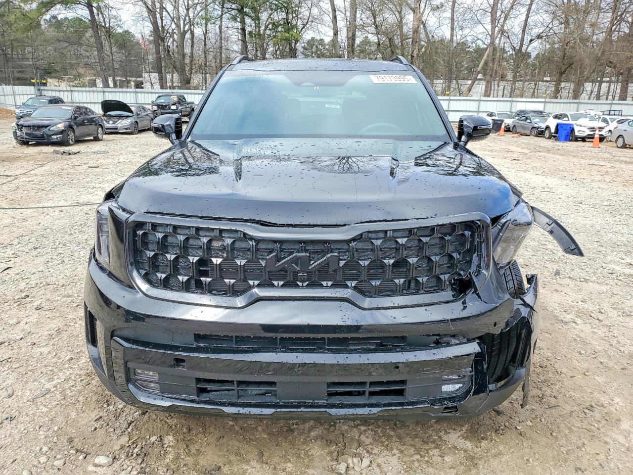 2025 Kia Telluride VIN 5XYP5DGC6SG719905 photo 5
