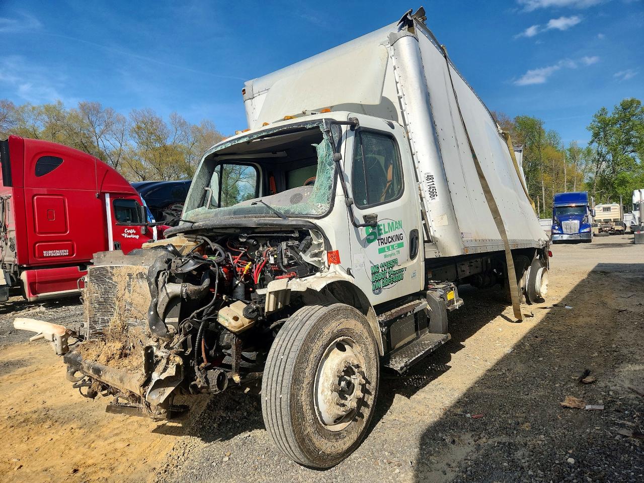 2013 FREIGHTLINER All other VIN 3ALACWDT9DDFE4600 photo 1
