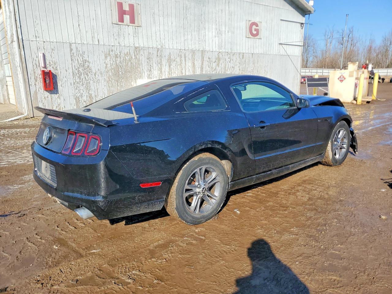2014 FORD All models VIN 1ZVBP8AM9E5262286 photo 3