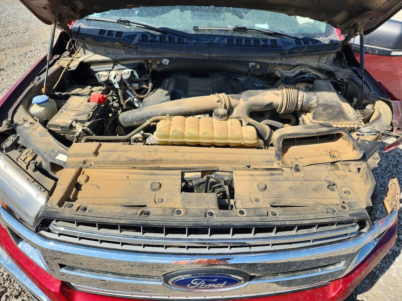 2020 Ford F150 VIN 1FTEW1E42LKE80850 photo 11