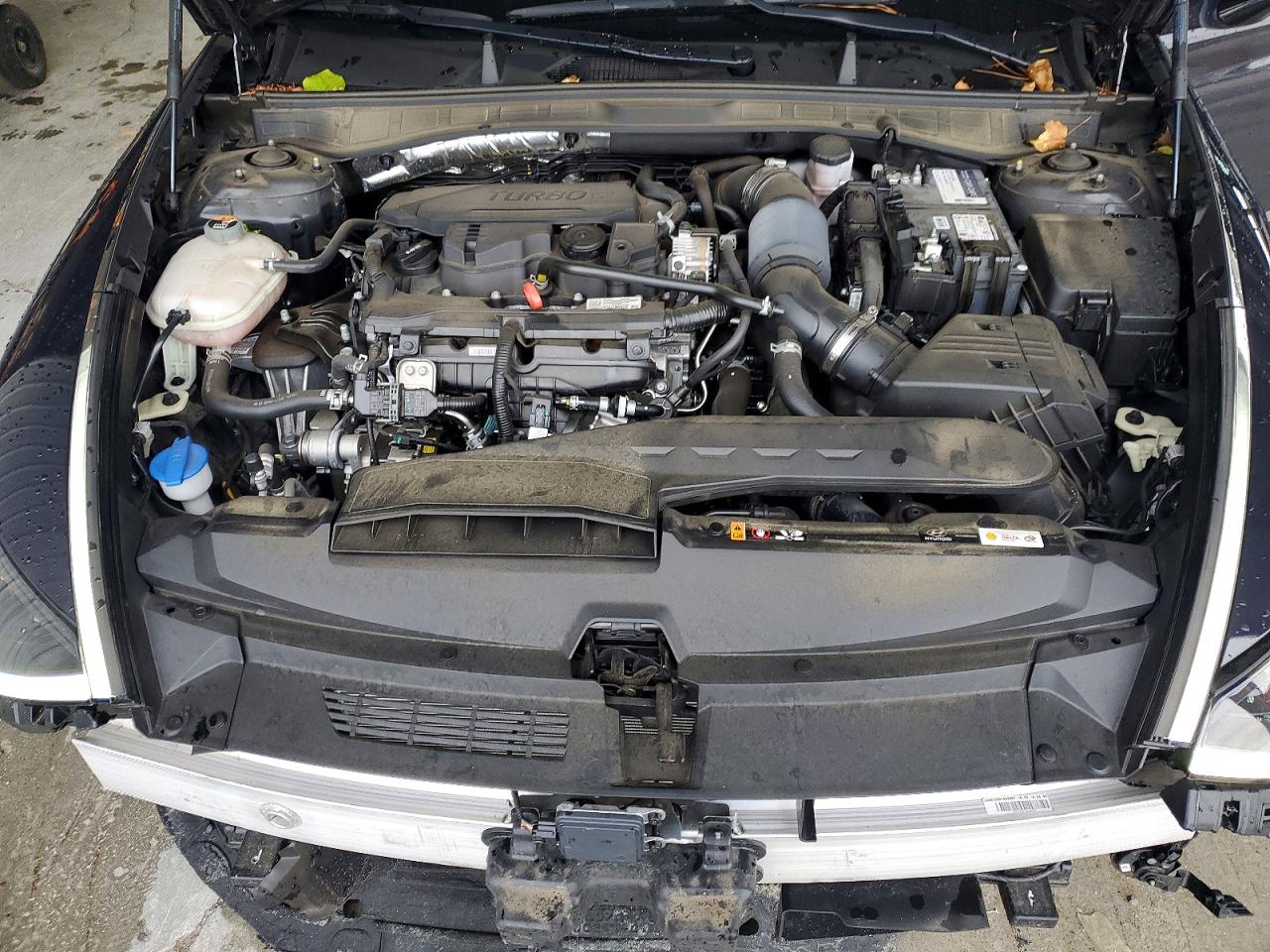 2023 Hyundai Sonata VIN KMHL44J23PA288489 photo 11