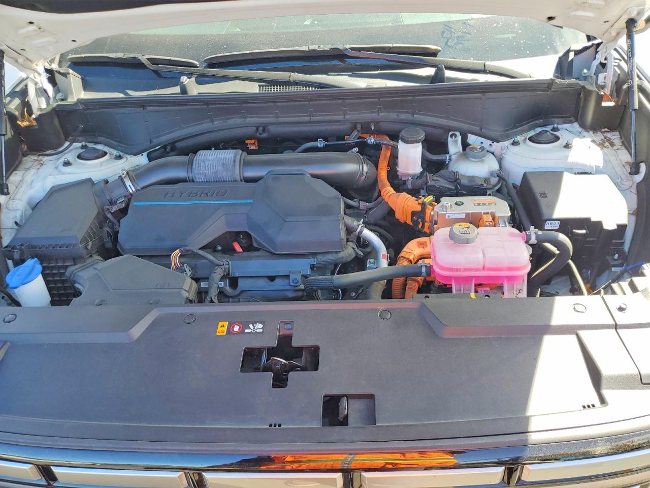 2024 Hyundai Santa fe hybrid VIN 5NMP24G11RH003193 photo 12