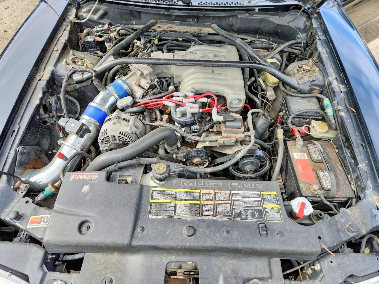 1995 Ford Mustang VIN 1FALP42T4SF182007 photo 11