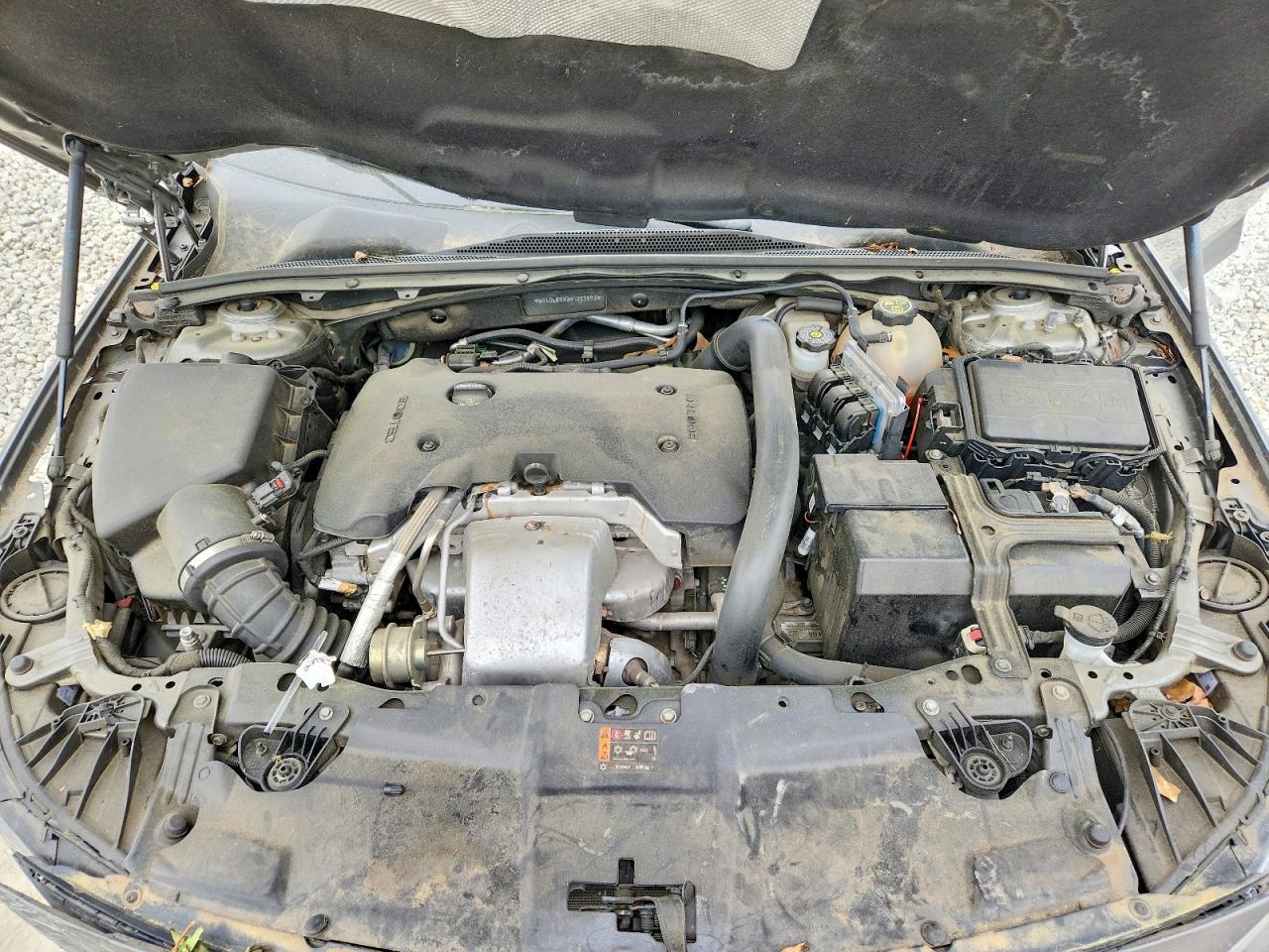 2019 Buick Regal VIN W04GL6SX3K1020852 photo 11