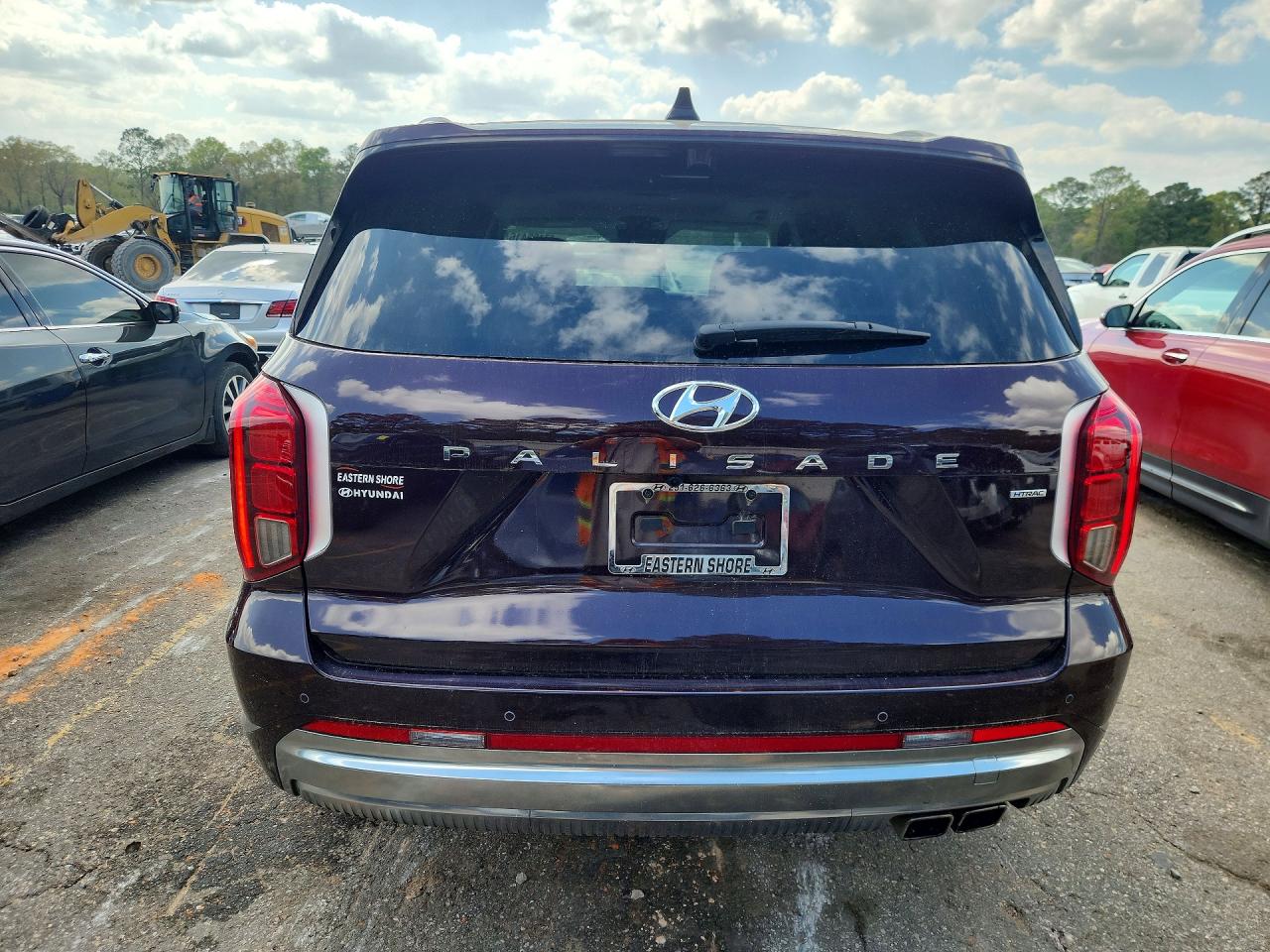 2025 Hyundai Palisade VIN KM8R7DGE2SU821135 photo 6