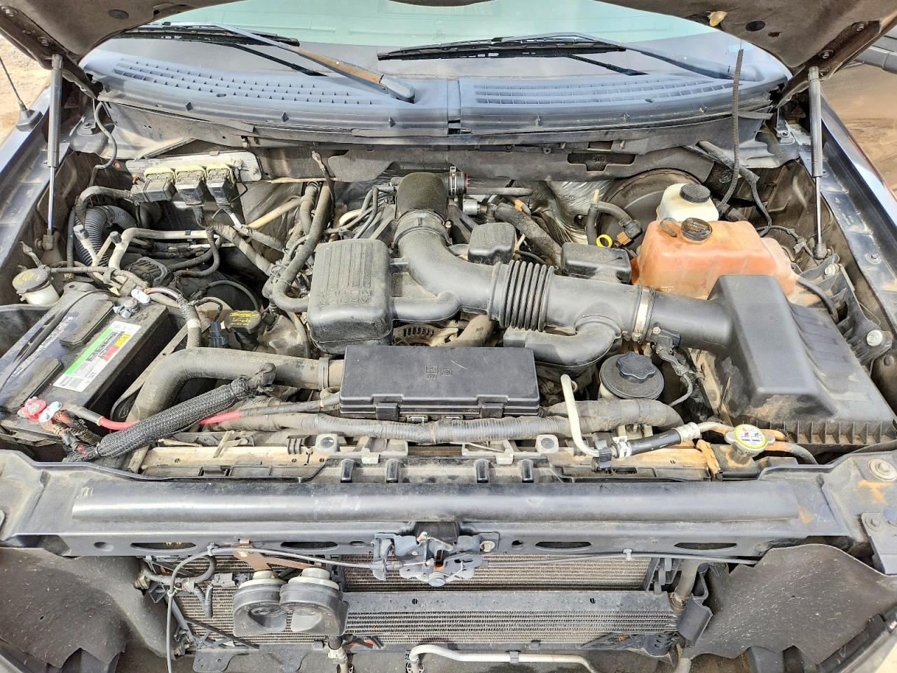 2010 Ford F150 VIN 1FTFW1CVXAFA85174 photo 11