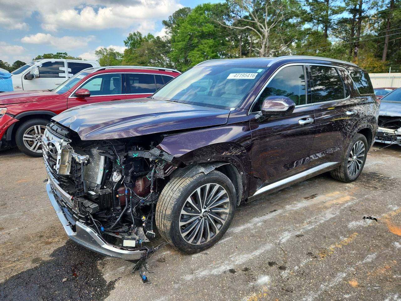 2025 Hyundai Palisade VIN KM8R7DGE2SU821135 photo 1