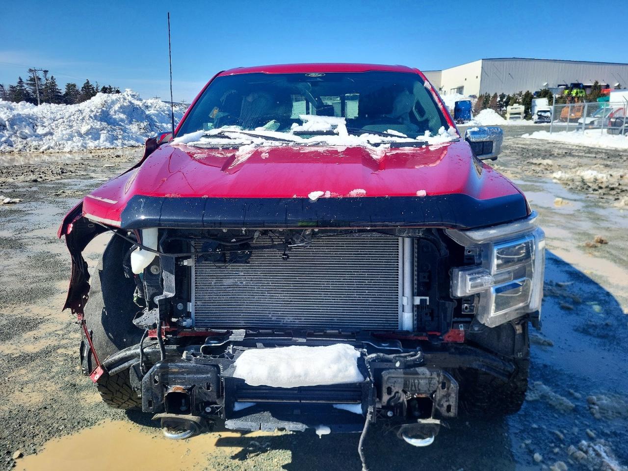 2024 FORD F150 VIN 1FTFW5L80RKD65884 photo 5