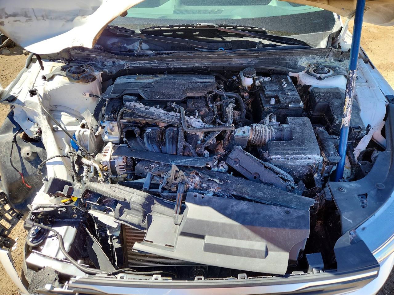 2025 Kia All other VIN 3KPFT4DE1SE200538 photo 11
