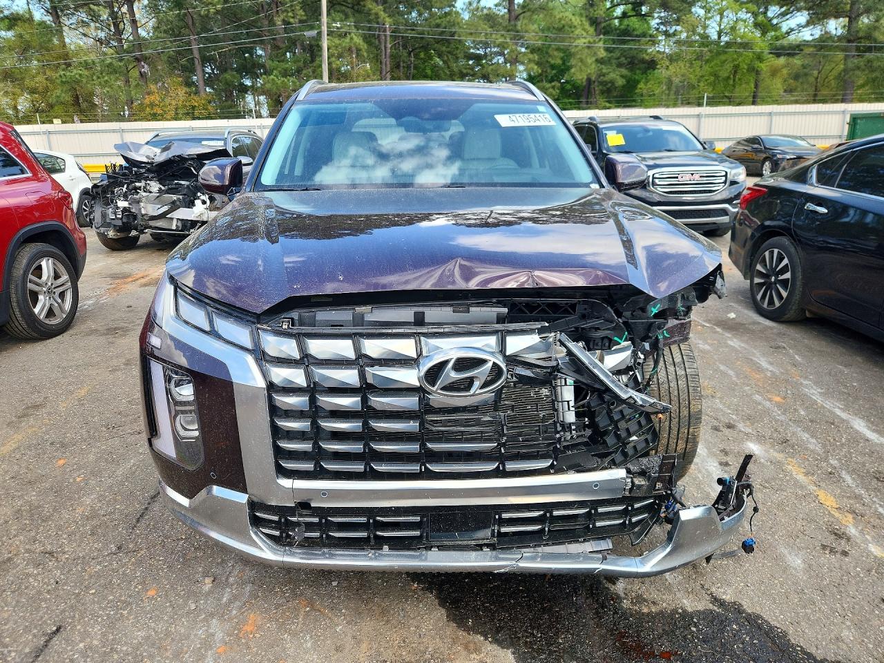 2025 Hyundai Palisade VIN KM8R7DGE2SU821135 photo 5