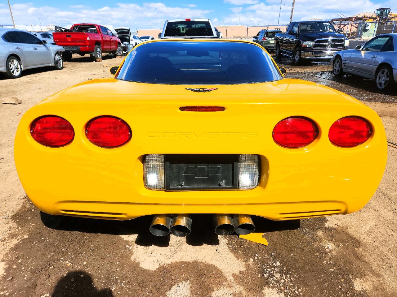 2004 Chevrolet Corvette VIN 1G1YY22G545101795 photo 6