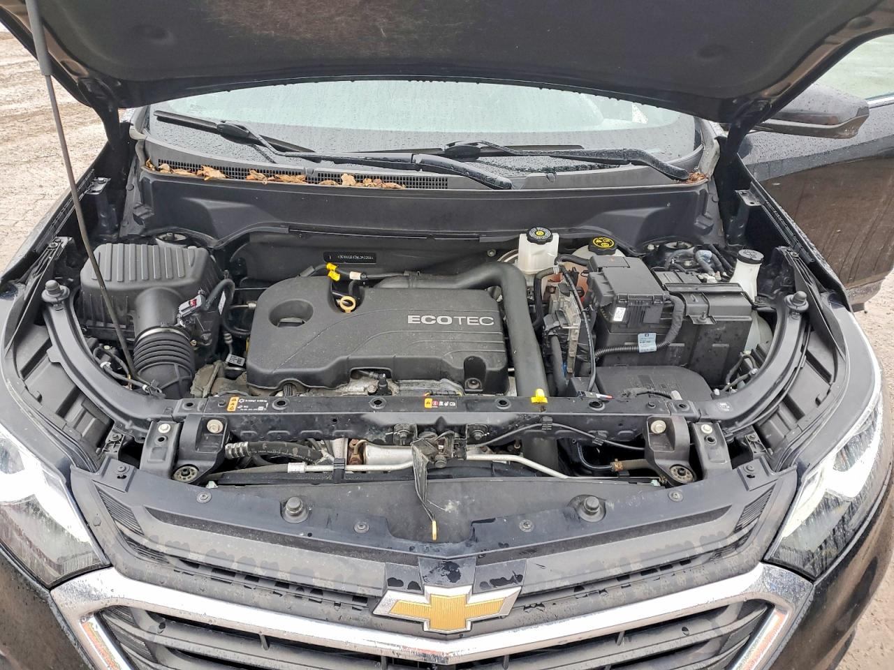 2021 Chevrolet Equinox VIN 3GNAXUEV2ML340259 photo 12