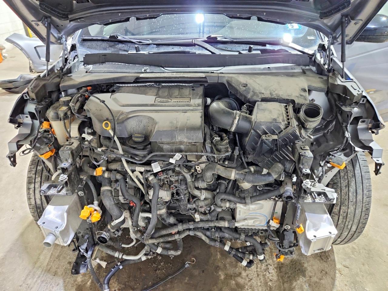 2021 Land Discovery sport VIN SALCT2FX4MH884187 photo 12