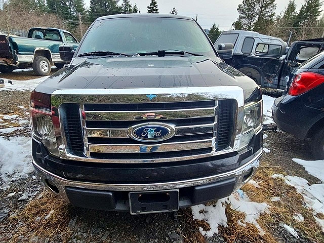 2011 FORD F150 VIN 1FTEX1CMXBFB99550 photo 5