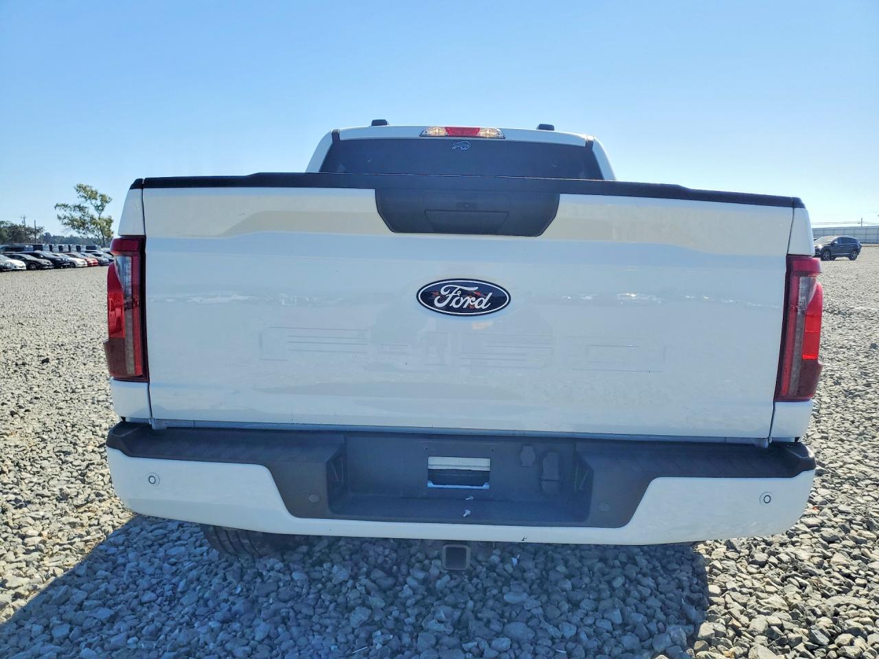 2024 Ford F150 VIN 1FTEW2KP3RKF18972 photo 6