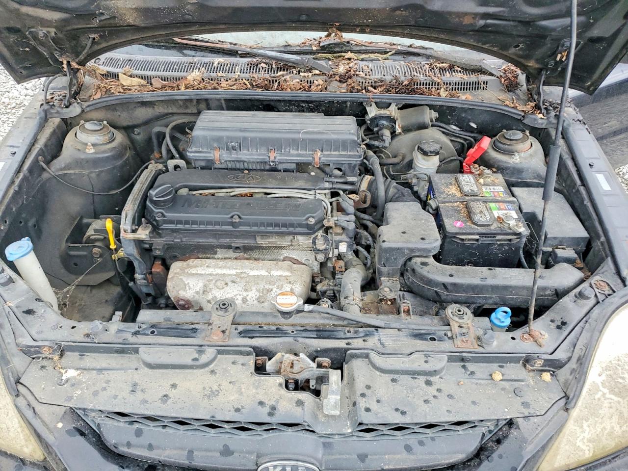 2005 Kia Rio VIN KNADC125356399947 photo 11