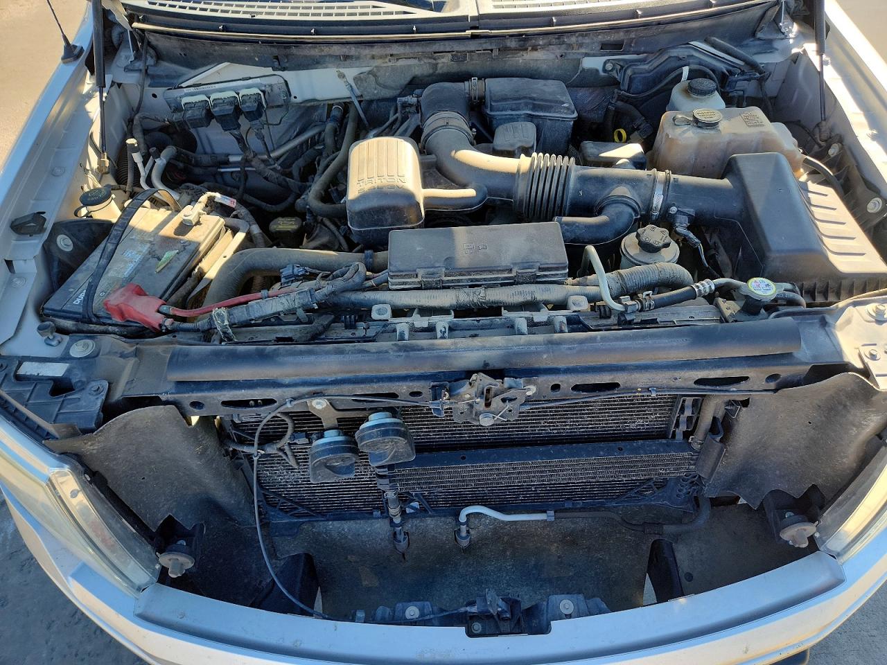 2010 FORD F150 VIN 1FTFW1EV7AFC51521 photo 11