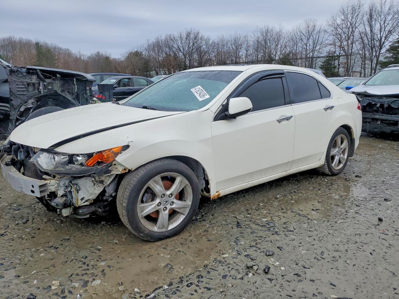 2010 Acura Tsx VIN JH4CU2F6XAC005794 photo 1