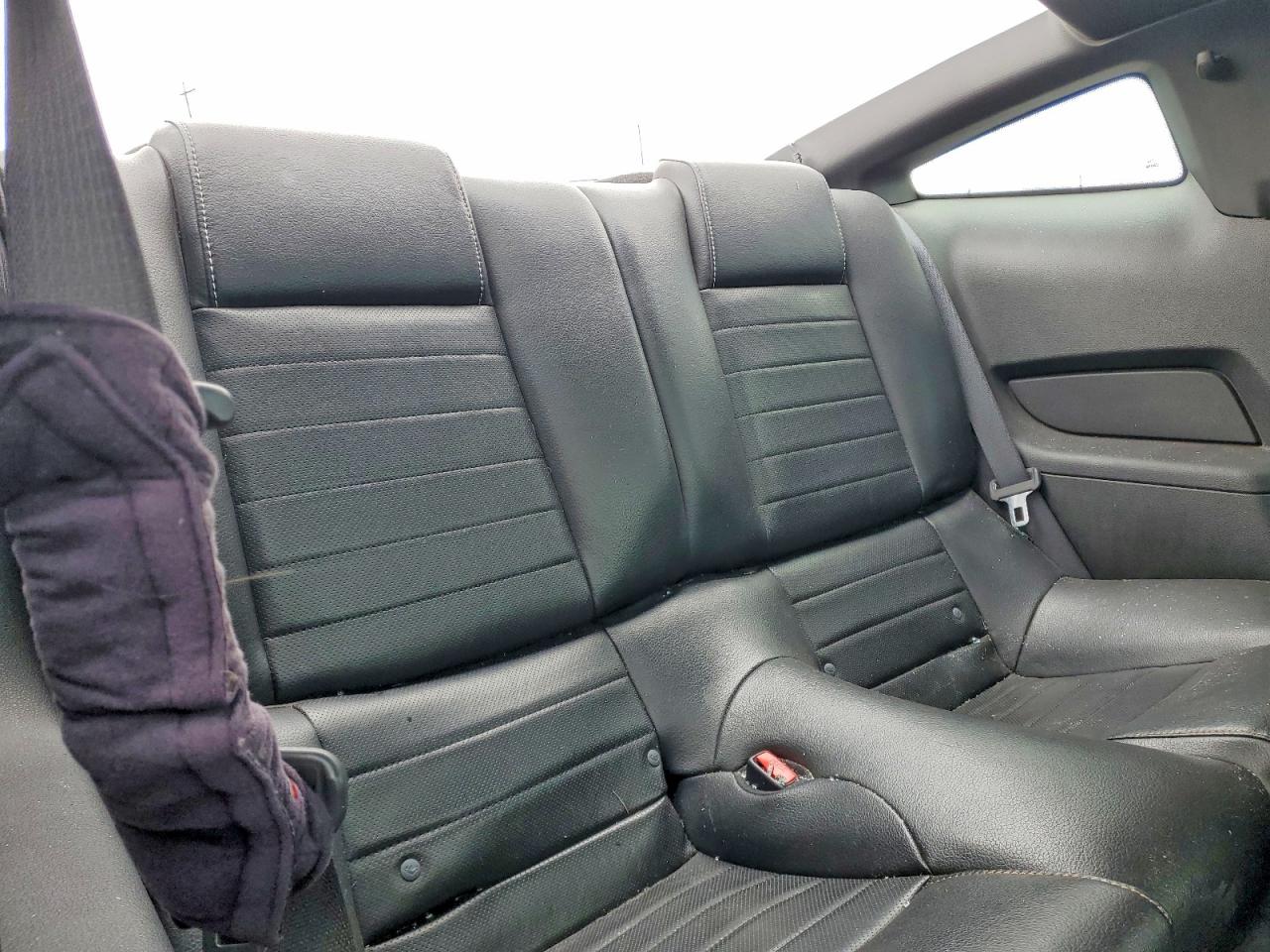 2010 Ford Mustang VIN 1ZVBP8CHXA5151336 photo 10