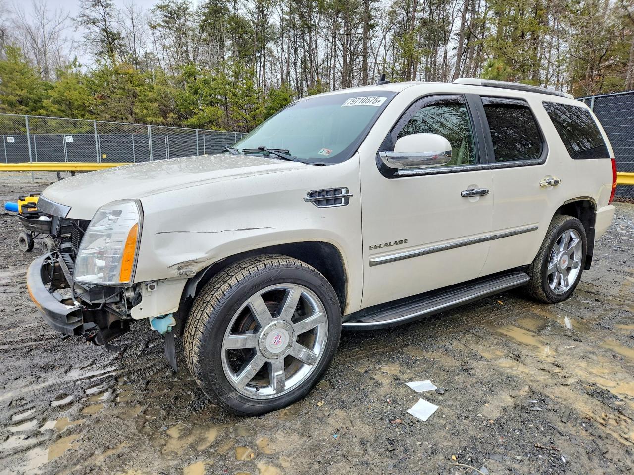 2011 Cadillac Escalade VIN 1GYS4BEF8BR156771 photo 1
