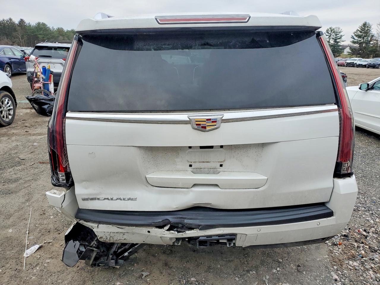 2020 Cadillac Escalade VIN 1GYS4HKJ4LR130505 photo 6