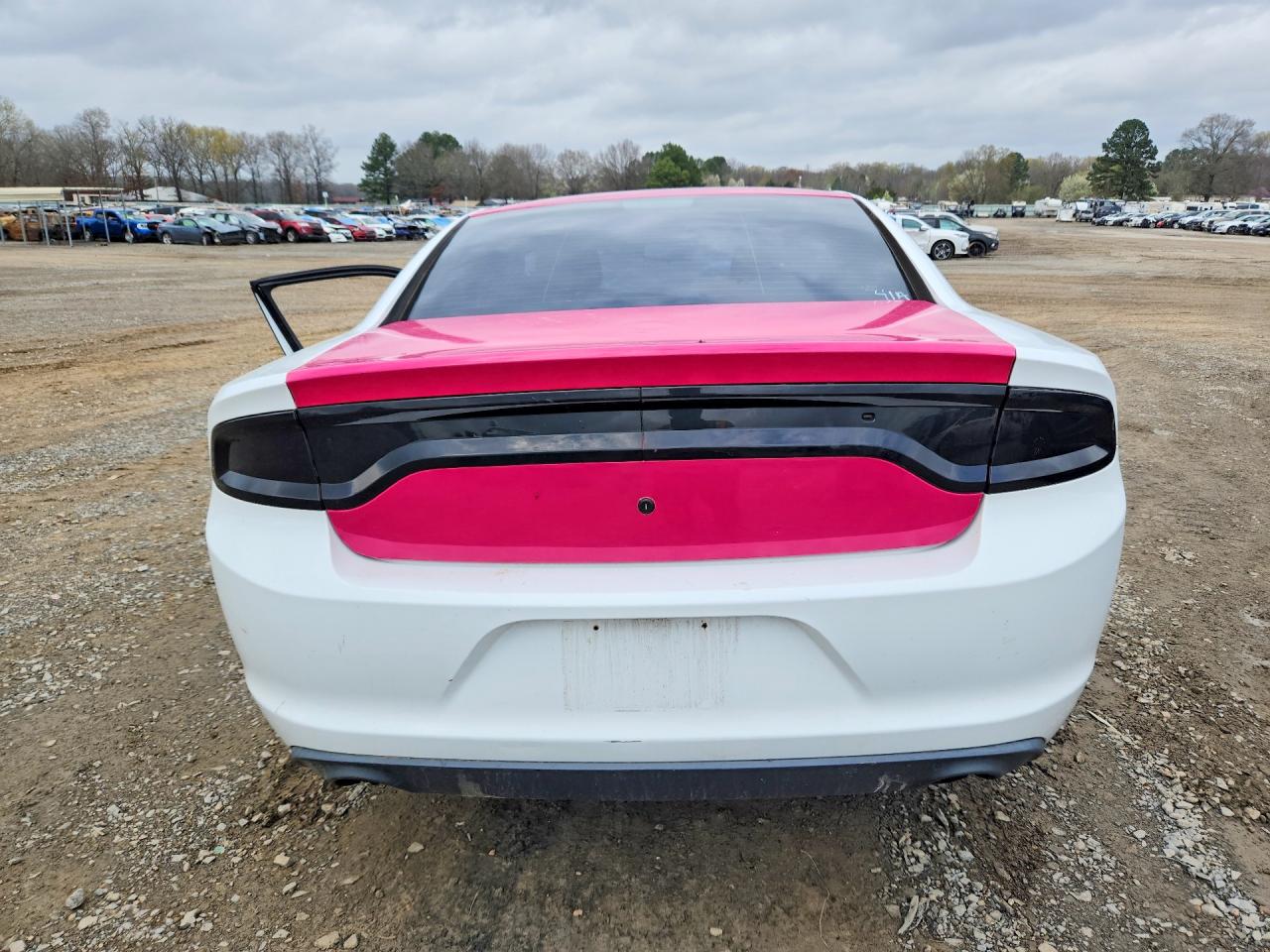 2015 Dodge Charger VIN 2C3CDXAT2FH863667 photo 6