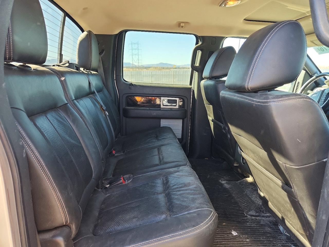 2010 FORD F150 VIN 1FTFW1EV7AFC51521 photo 10