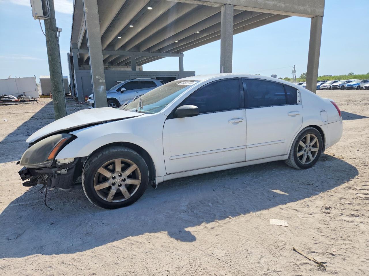 2004 Nissan Maxima VIN 1N4BA41E54C918635 photo 1
