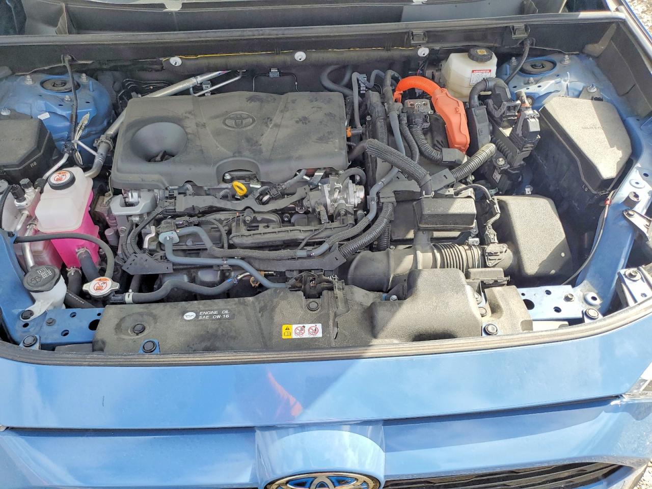 2024 Toyota Rav4 VIN JTME6RFV5RD559366 photo 11