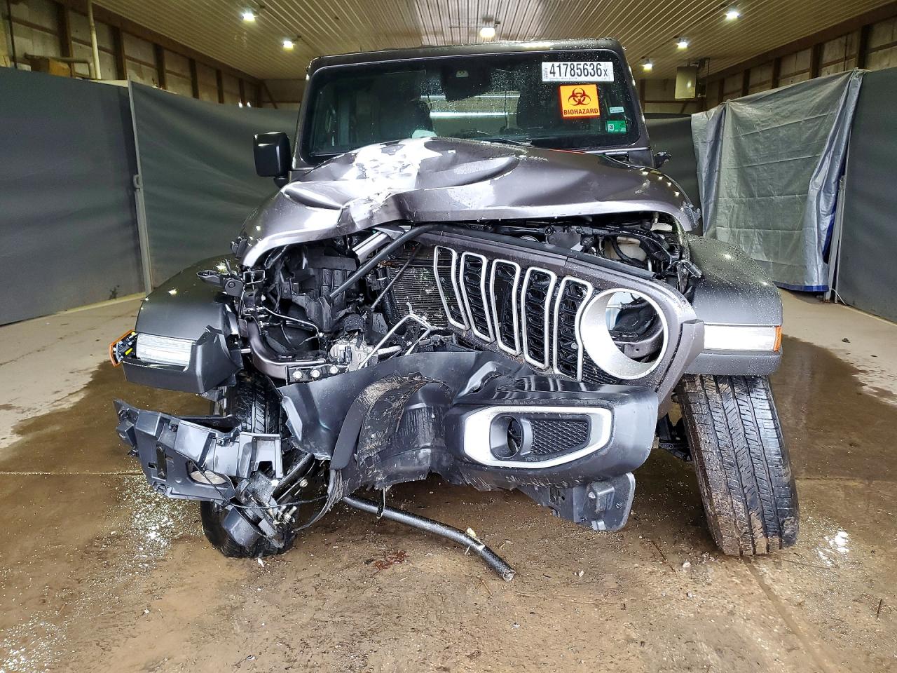 2025 Jeep Wrangler / VIN 1C4PJXENXSW568619 photo 5
