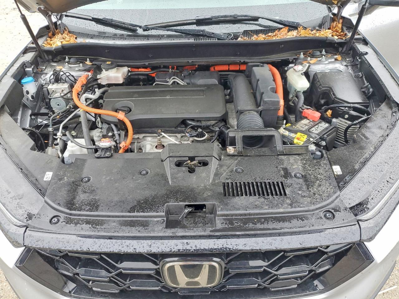 2024 Honda Crv VIN 5J6RS6H88RL005810 photo 12