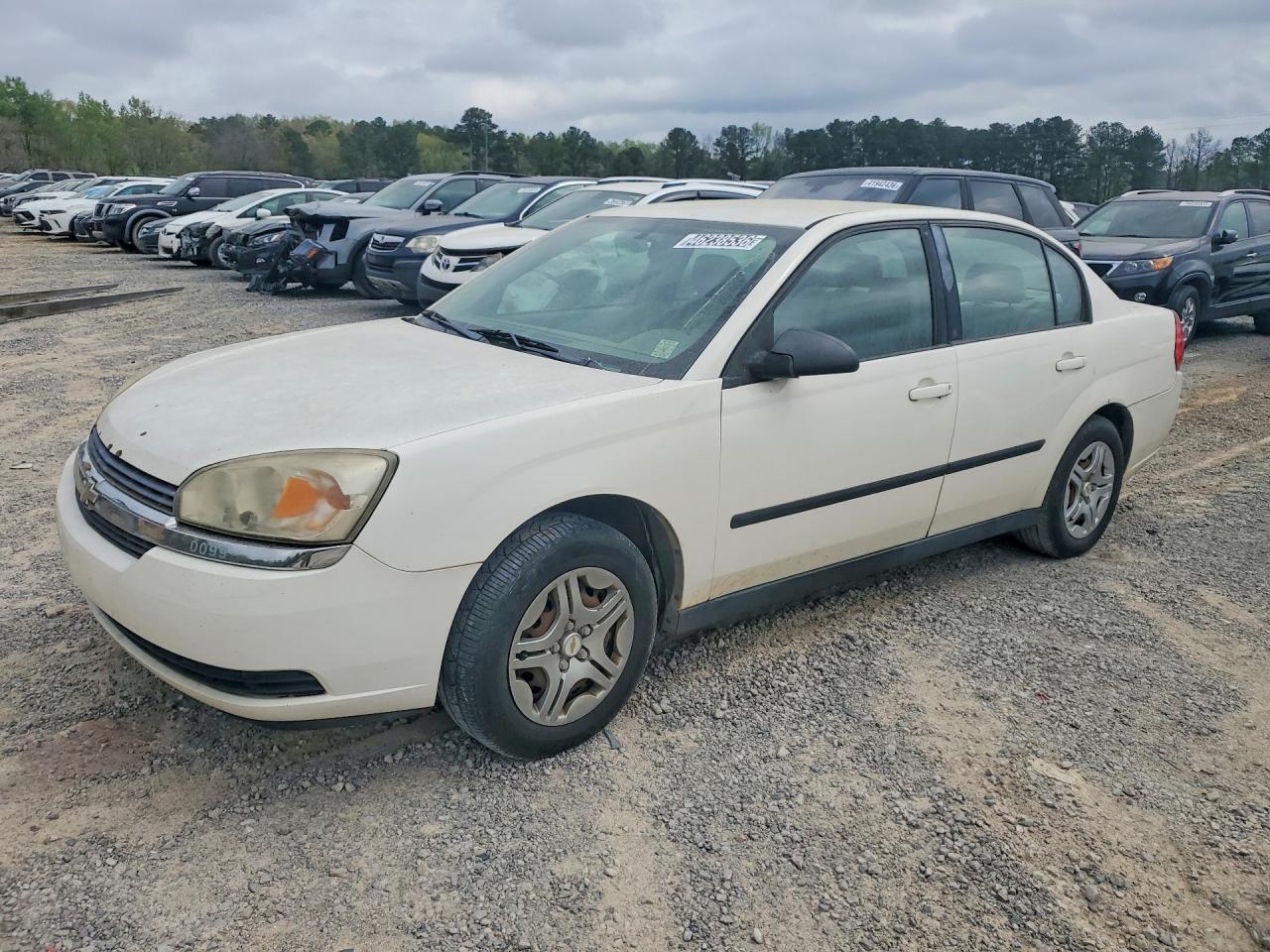 2005 CHEV Malibu VIN 1G1ZS52F75F216408 photo 1