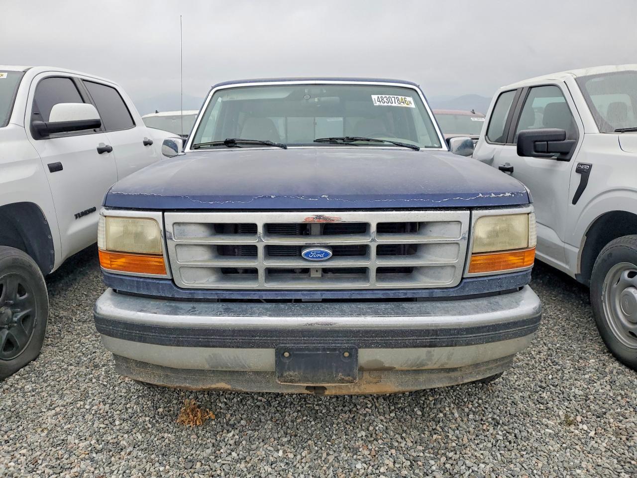 1994 Ford F150 VIN 1FTEF15N3RLB52221 photo 5