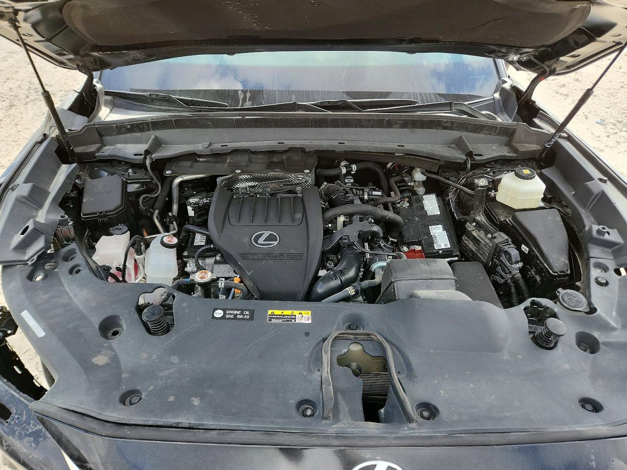 2024 Lexus Tx 350 Luxury VIN 5TDAAAA67RS010979 photo 12