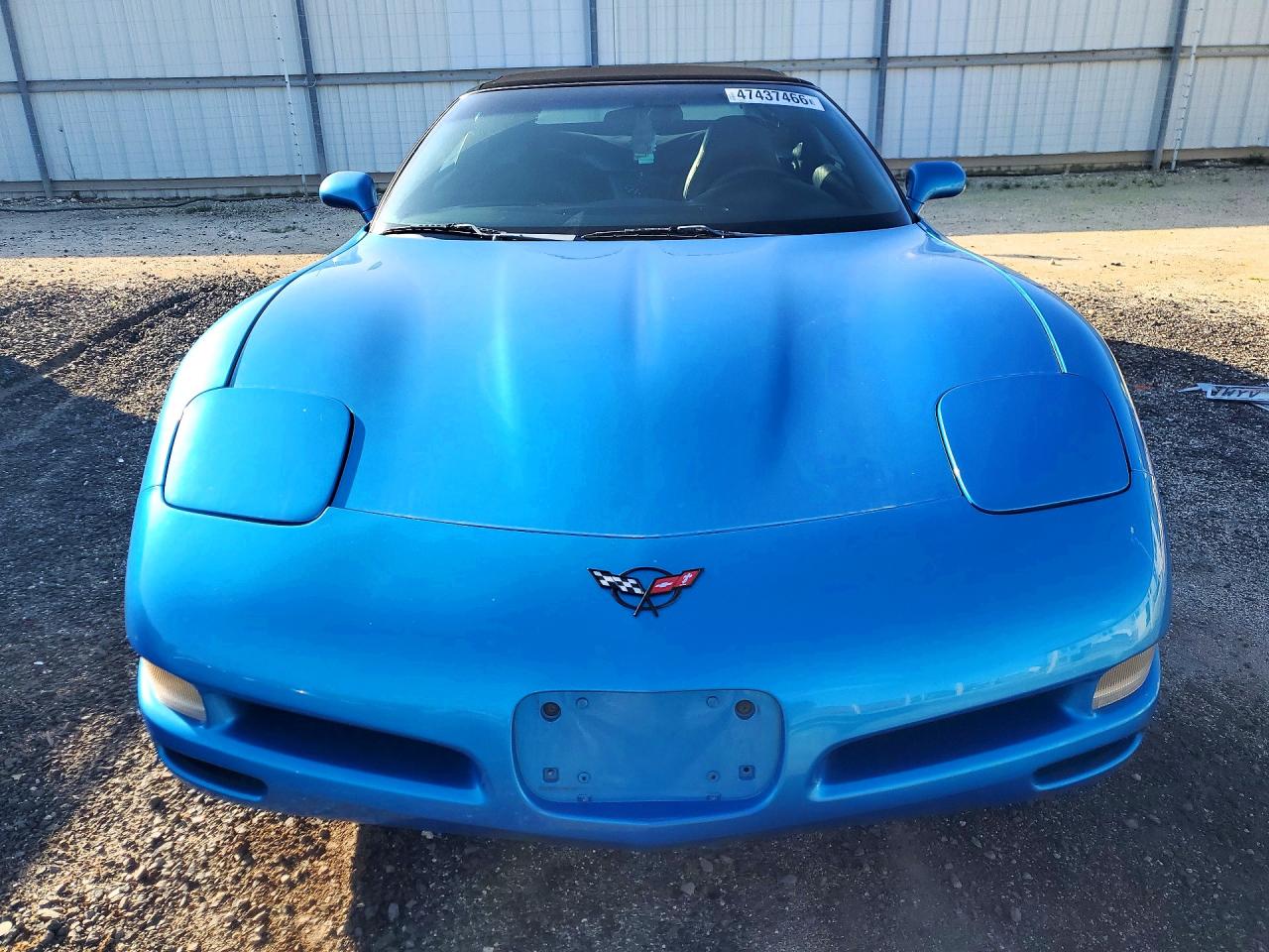 1998 Chev Corvette VIN 1G1YY32G7W5119594 photo 5