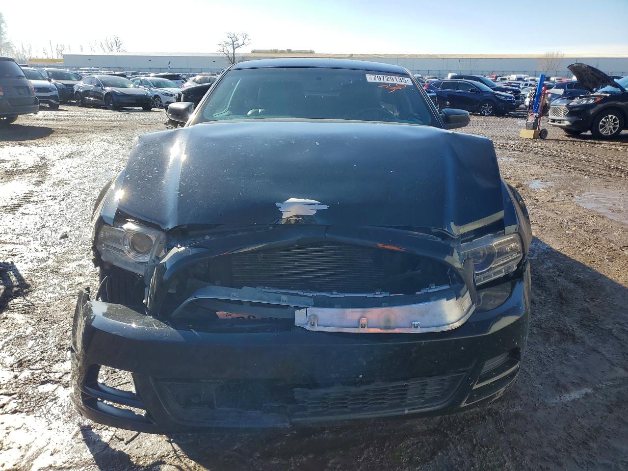 2014 FORD All models VIN 1ZVBP8AM9E5262286 photo 5
