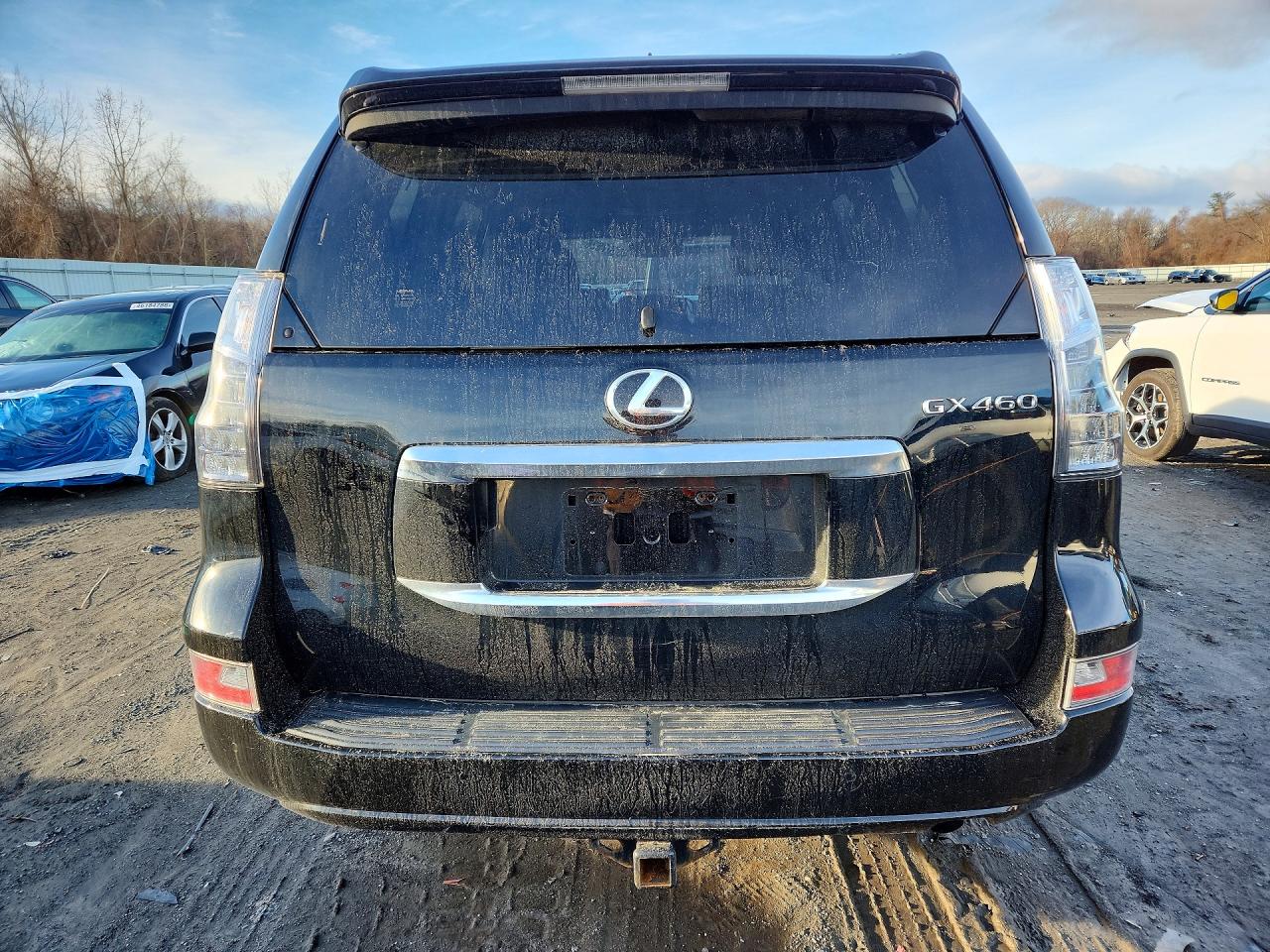 2020 Lexus Gx VIN JTJAM7BX7L5251971 photo 6